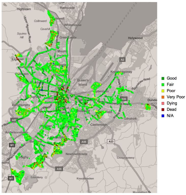 analysis-of-the-trees-of-belfast